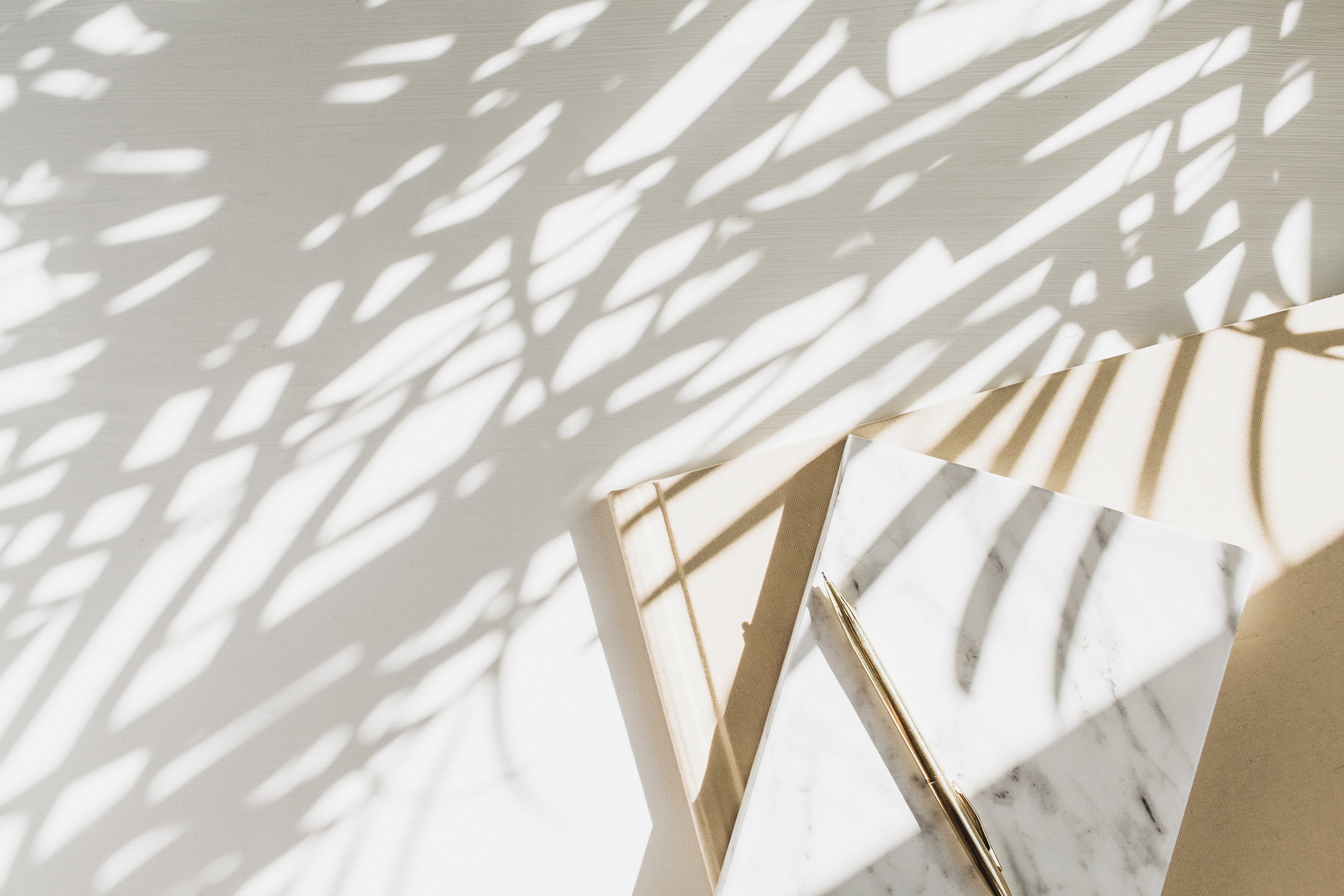 Minimalist Feminine Workspace with Shadows